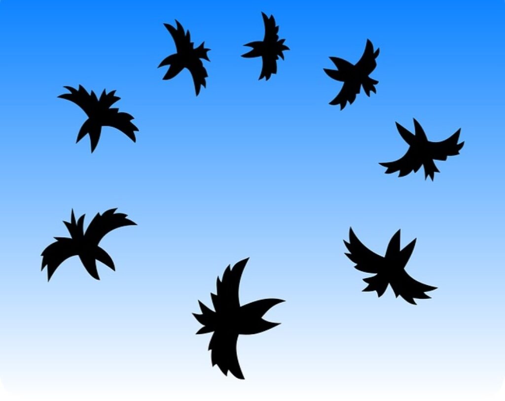 Why Do Crows Fly In Large Groups? (Crow Flocking Behavior Facts ...